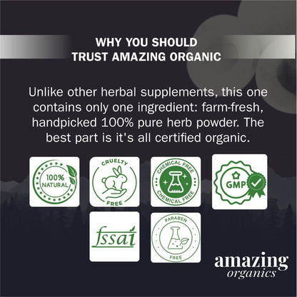 Premium Organic Amla Powder